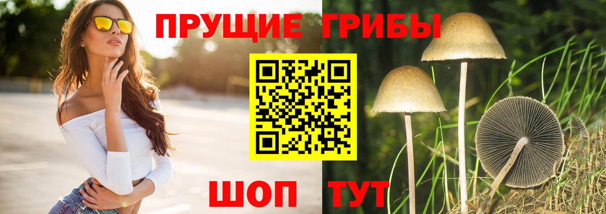 Псилоцибиновые грибы Magic Shrooms  Вход с VPN  Кировск  Галлюциногенные грибы Psilocybine cubensis 